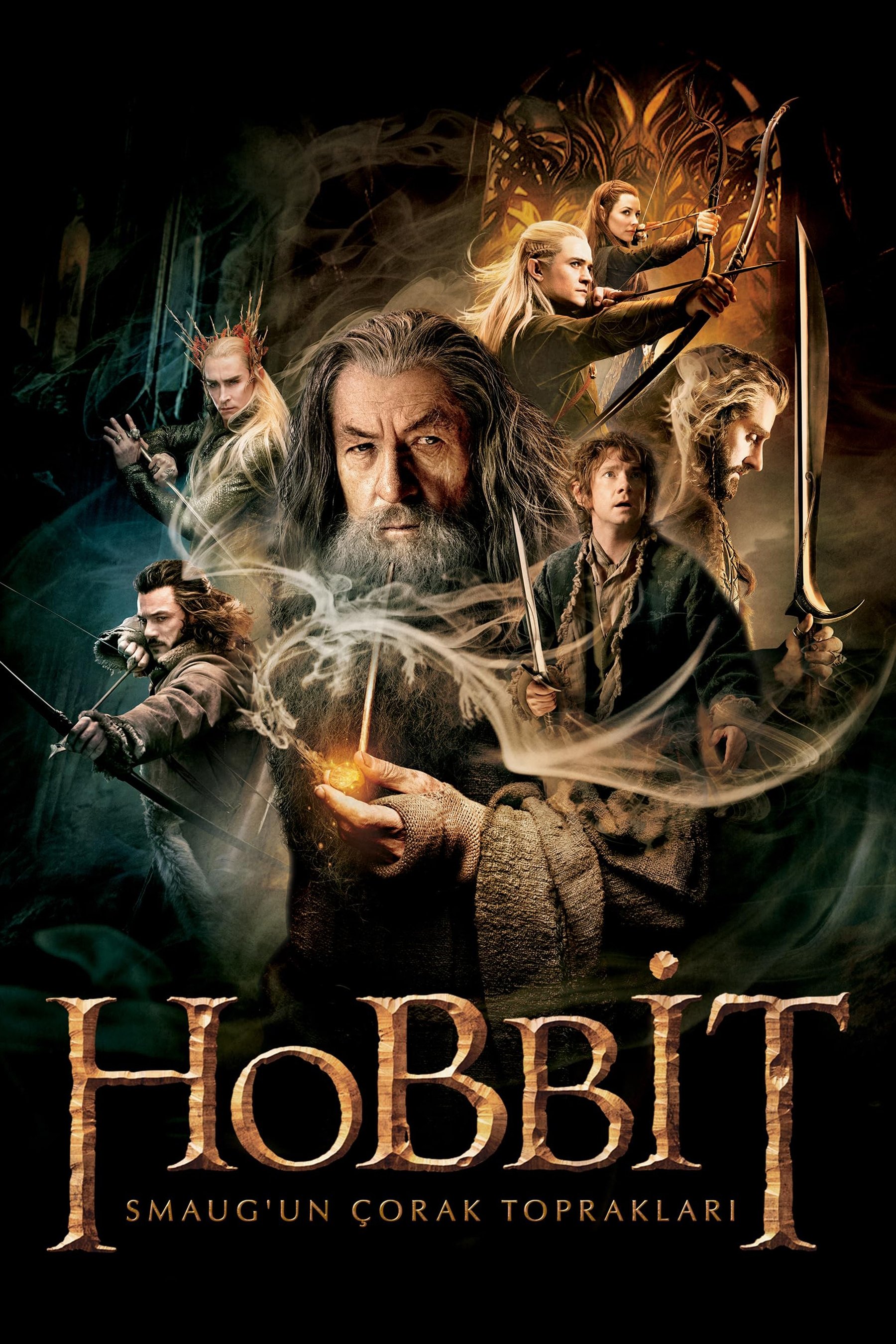The Hobbit: The Desolation of Smaug